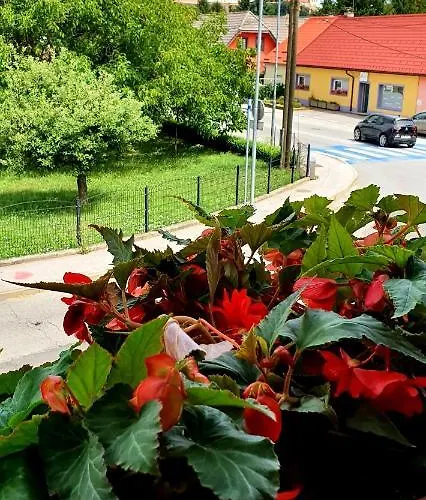 Luna Διαμέρισμα *